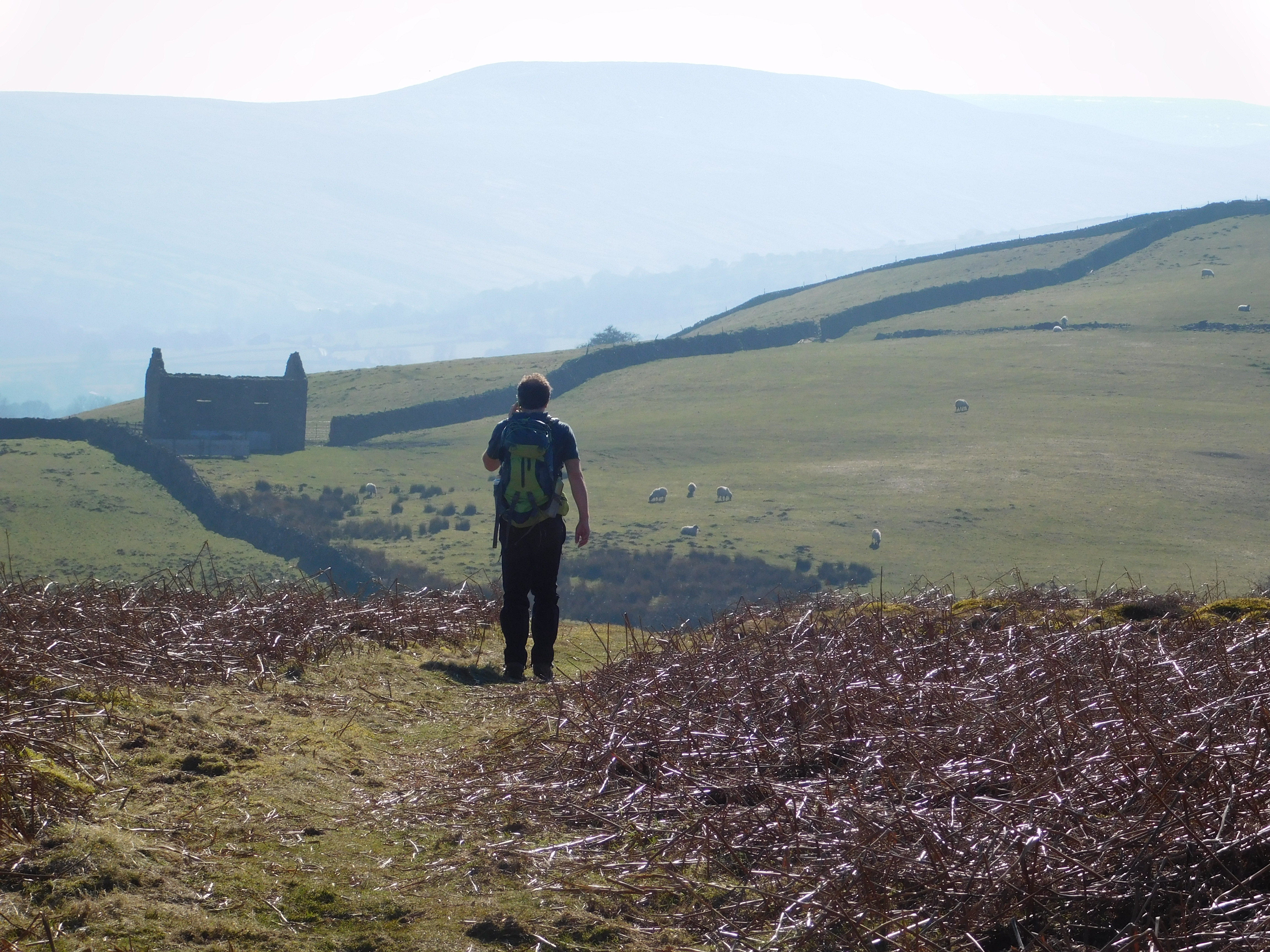 Man out walking