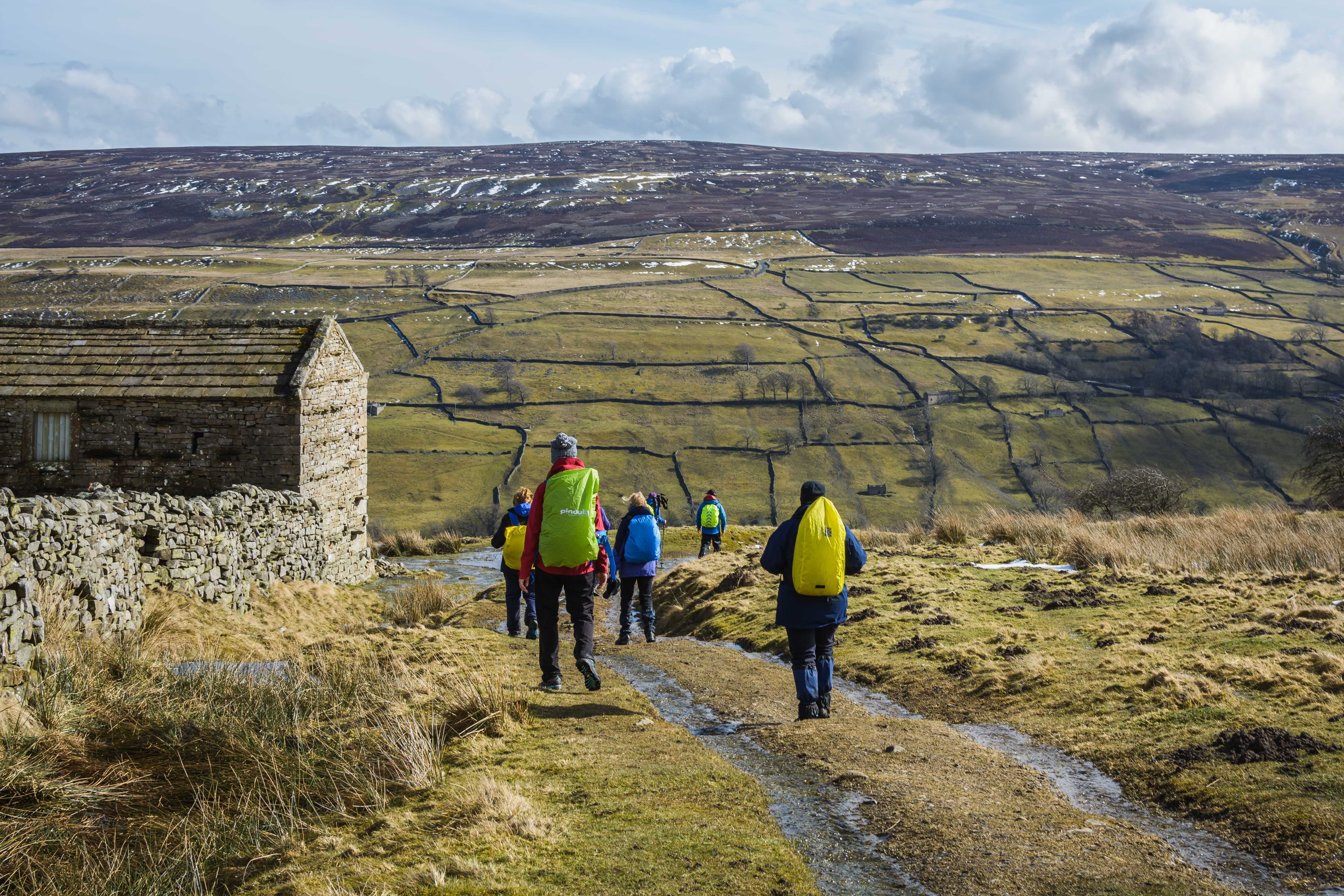 GUIDED WALKING BREAKS