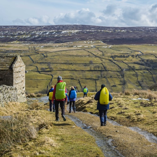 GUIDED WALKING BREAKS
