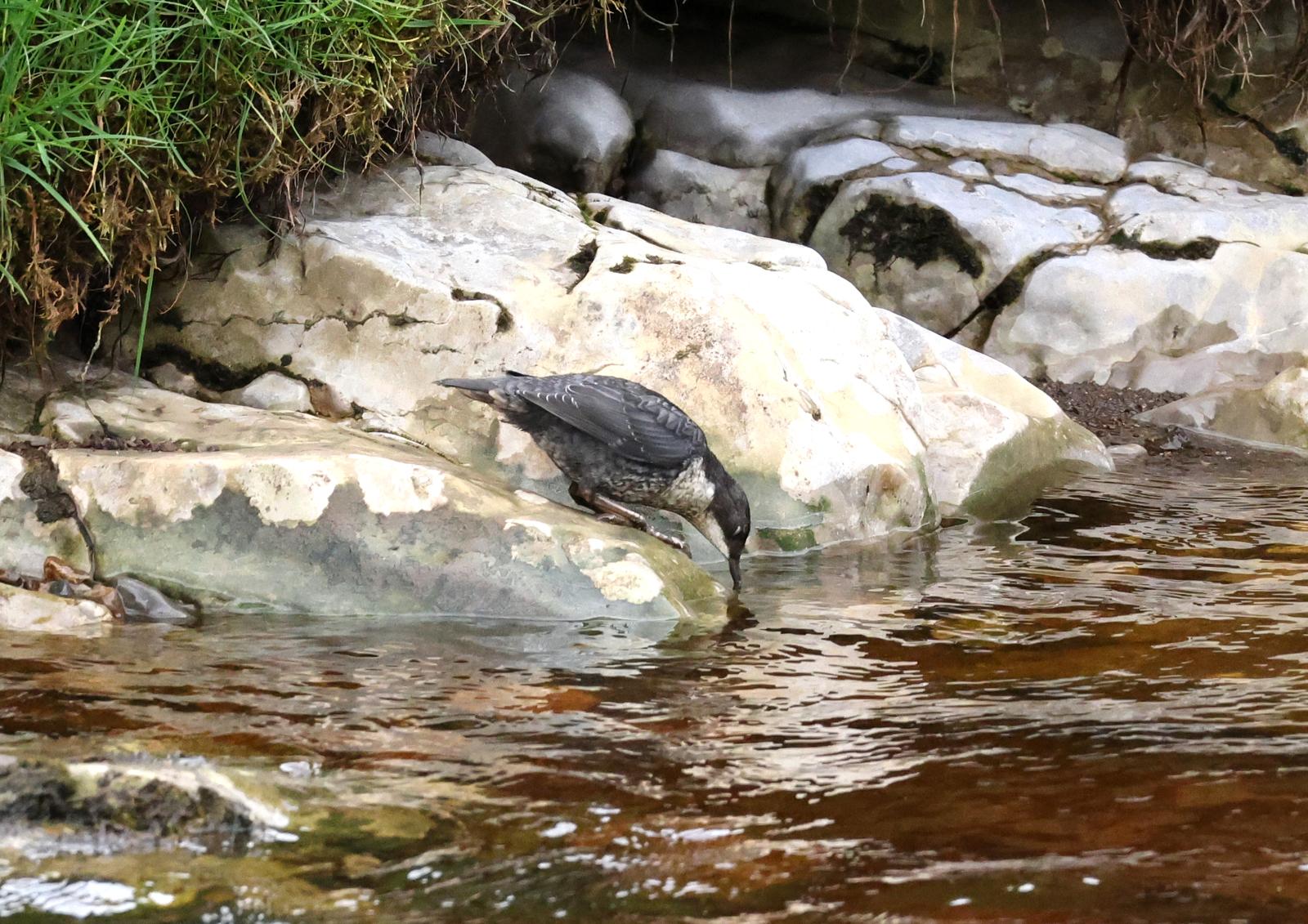 Not a bad day in the office!