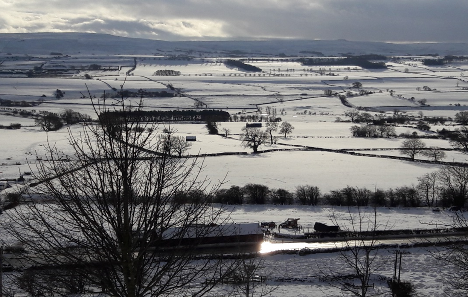 Dales to Caribbean / Sheep to Sloths